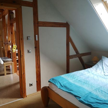 Ferienwohnung Im Vogelhaus Mit Dachterasse Und Grossem Garten Calau Dış mekan fotoğraf